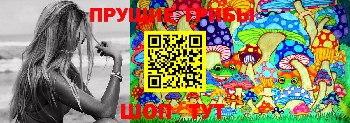 наркотики  Вход с VPN  Амурск  Галлюциногенные грибы GOLDEN TEACHER 